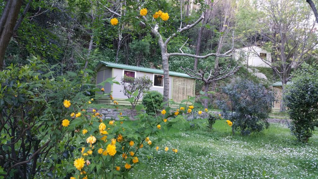 Camping Les Sources Saint-Jean-du-Gard Exteriér fotografie