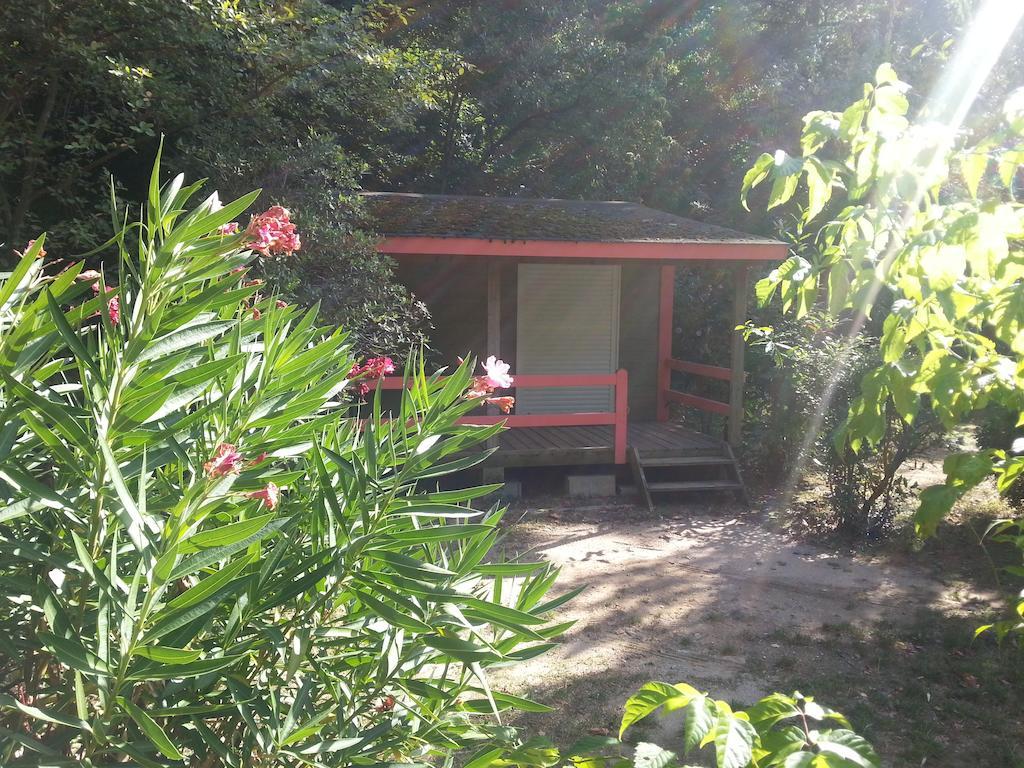 Camping Les Sources Saint-Jean-du-Gard Pokoj fotografie